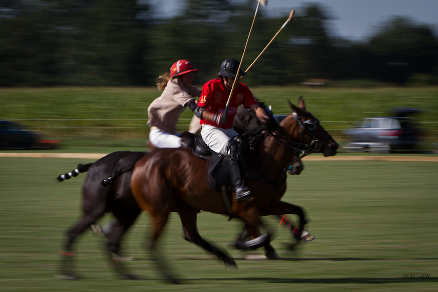 Polo Action