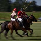 Polo Action