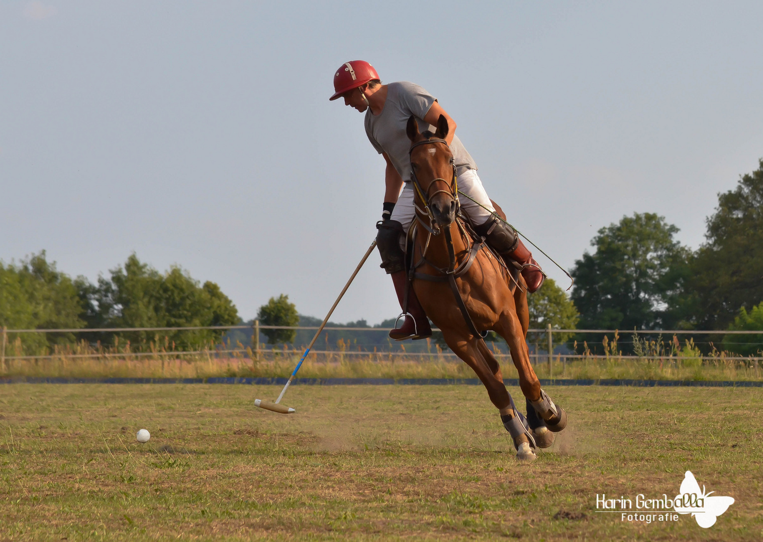 Polo Anlage 1889