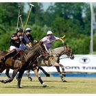 Polo Argentino