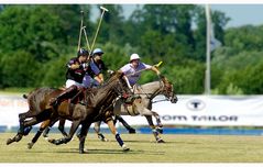 Polo Argentino