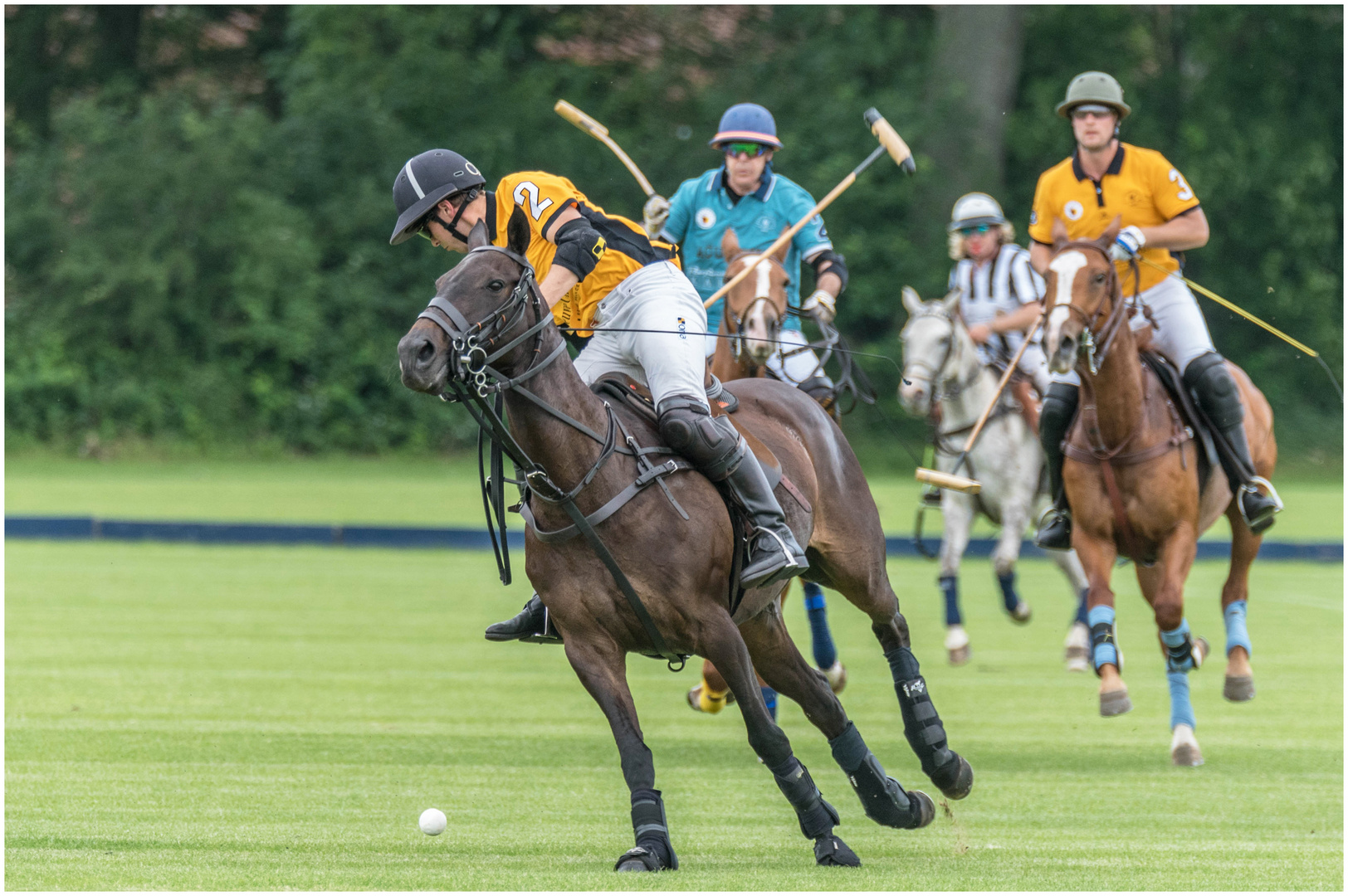 Polo auf Gut Aspern