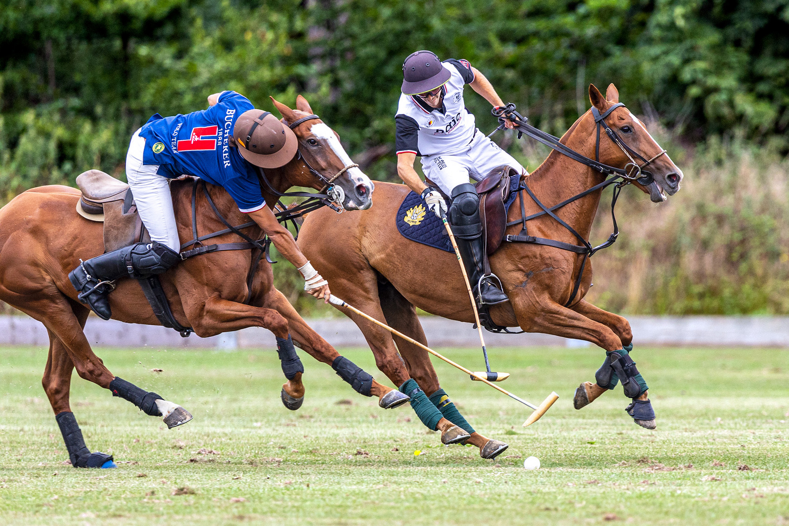 Polo Düsseldorf