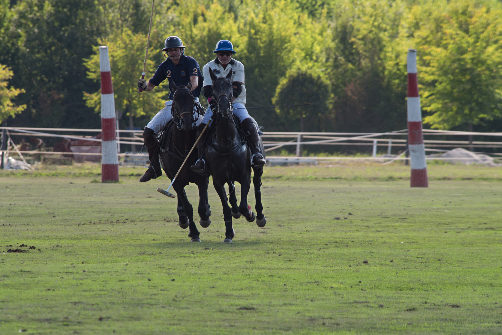 Polo Emotions Cup Stuttgart No.6