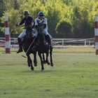 Polo Emotions Cup Stuttgart No.6