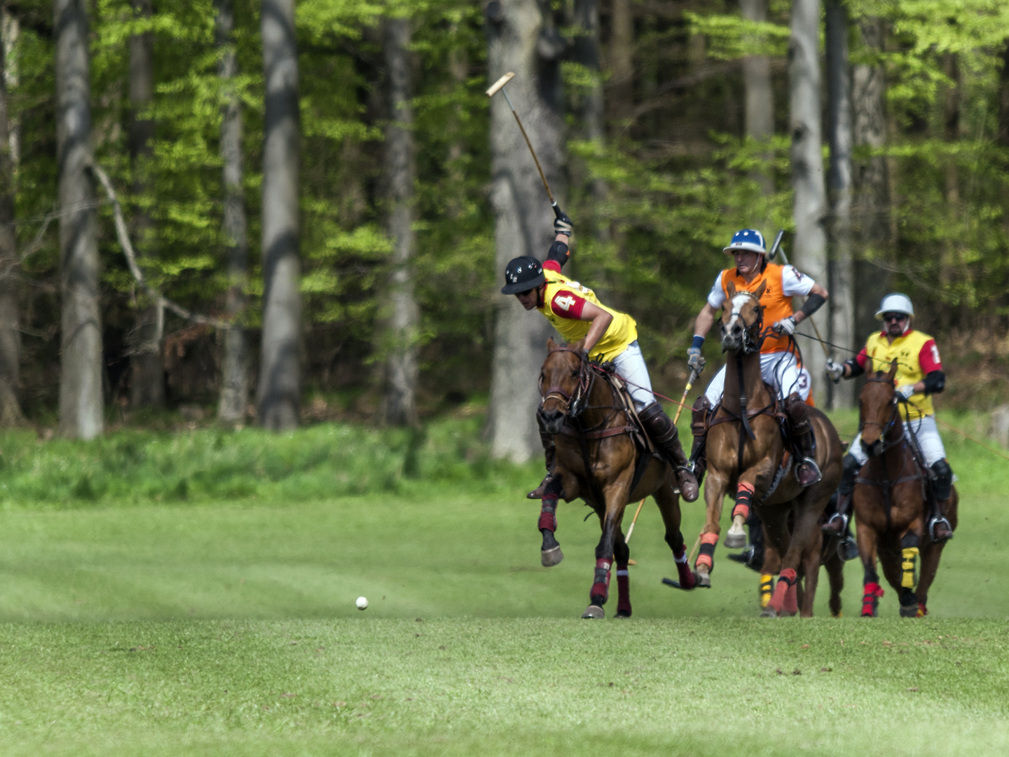 Polo Finale auf Gut Basthorst