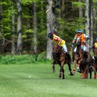 Polo Finale auf Gut Basthorst