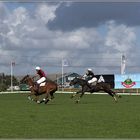 Polo German Open in Keitum/ Sylt Ost