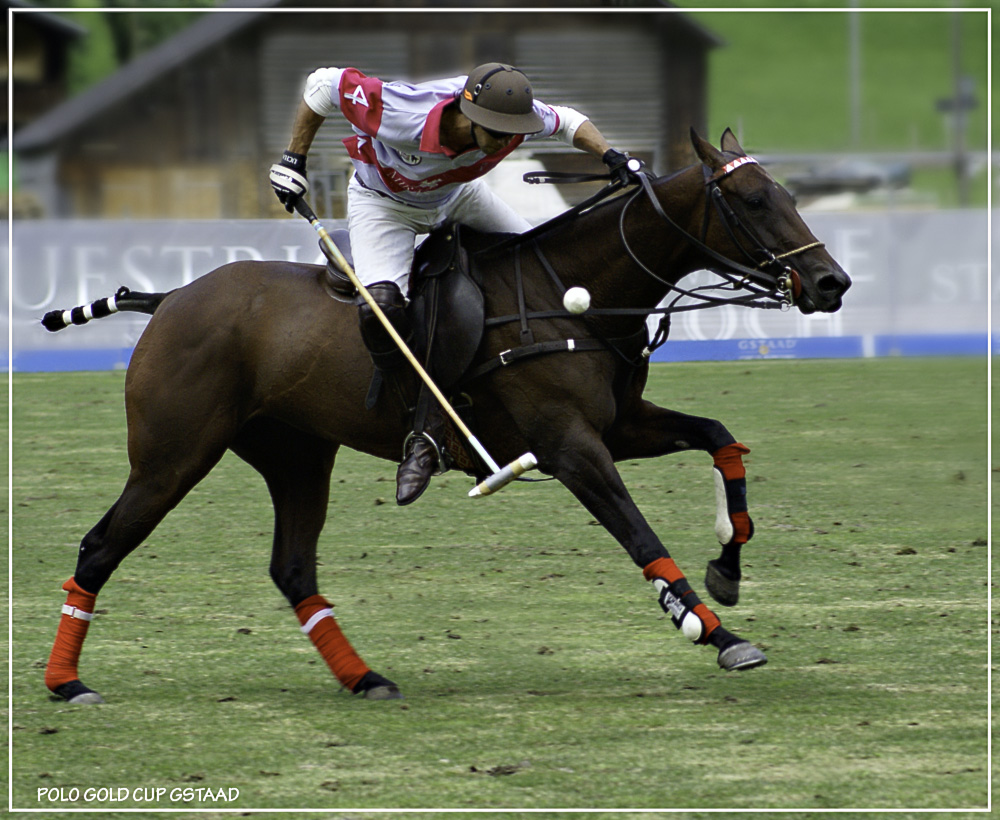 Polo Goldcup Gstaad