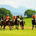 Polo - Hard Riding in der Voralpen-Kulisse