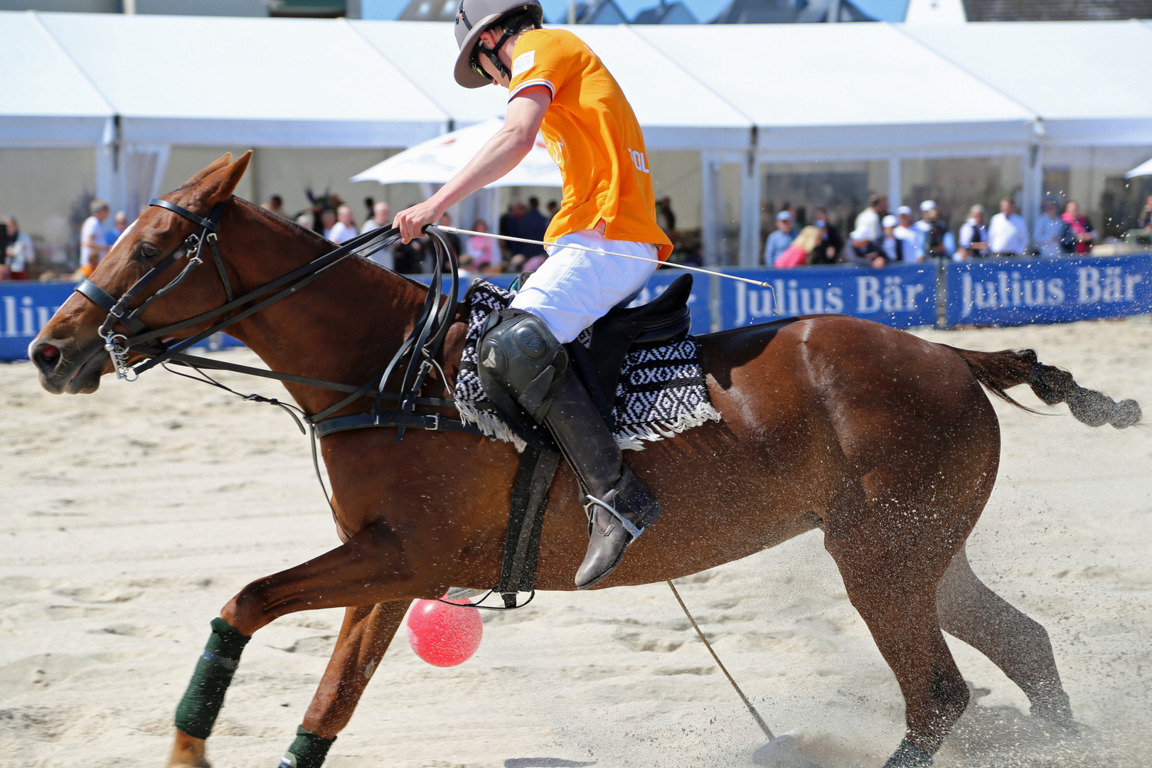 Polo im Sand