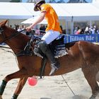 Polo im Sand