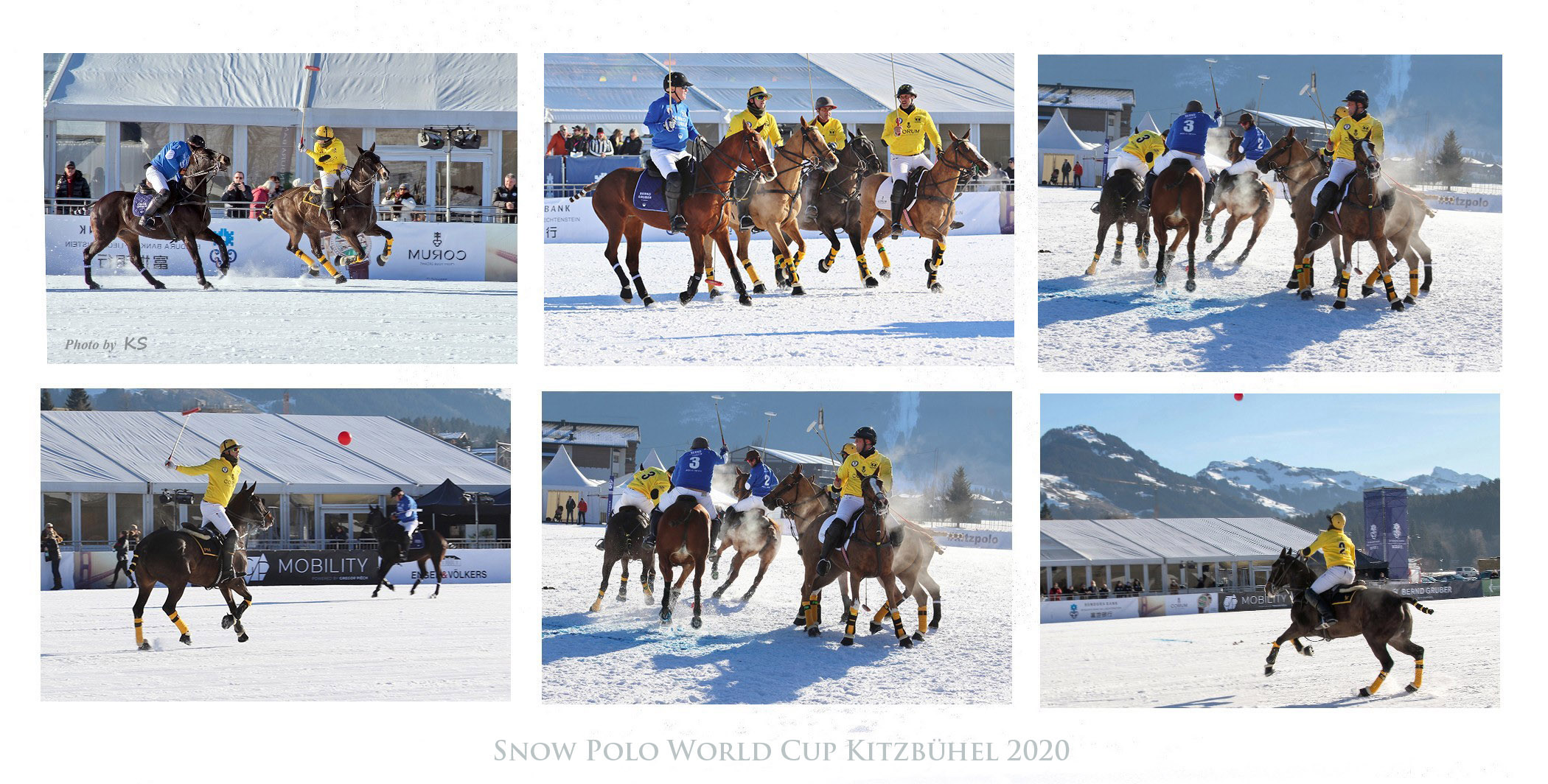 - Polo im Schnee -