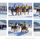 - Polo im Schnee -