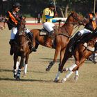 Polo in Jodhpur