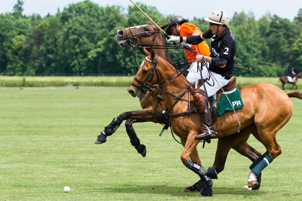 Polo in Landsberg