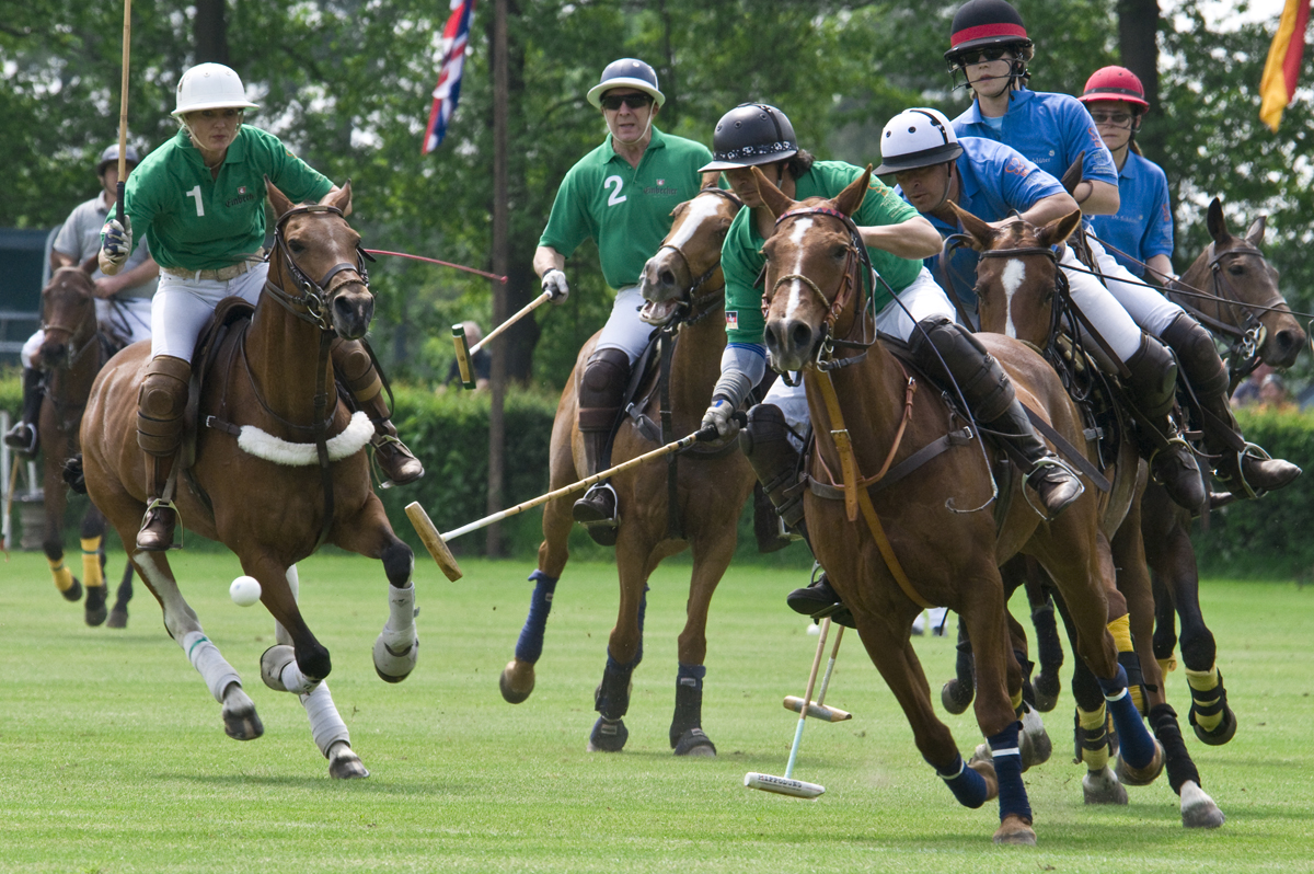 Polo in Maspe