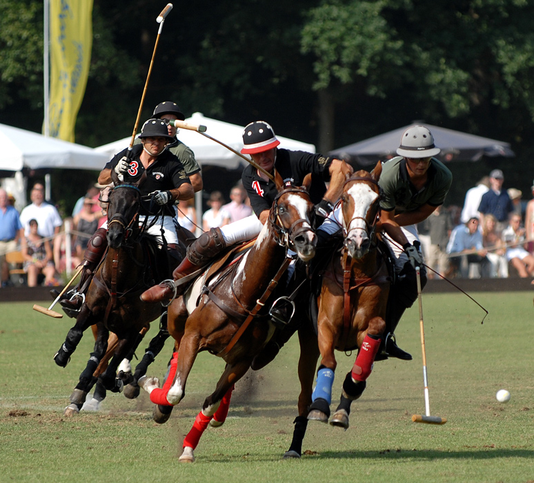 Polo in Maspe