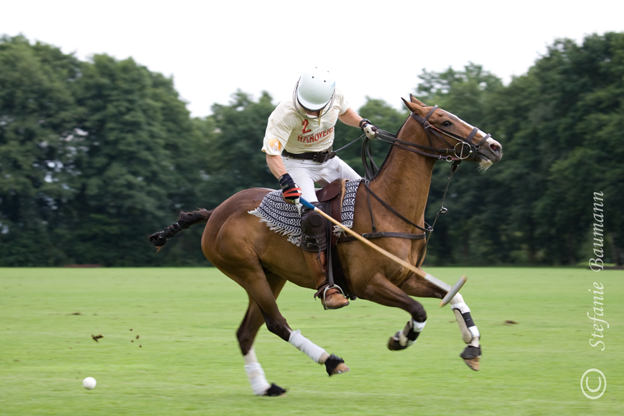 Polo in Maspe