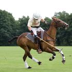 Polo in Maspe