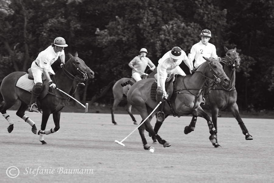 Polo in Maspe