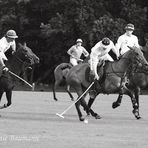 Polo in Maspe