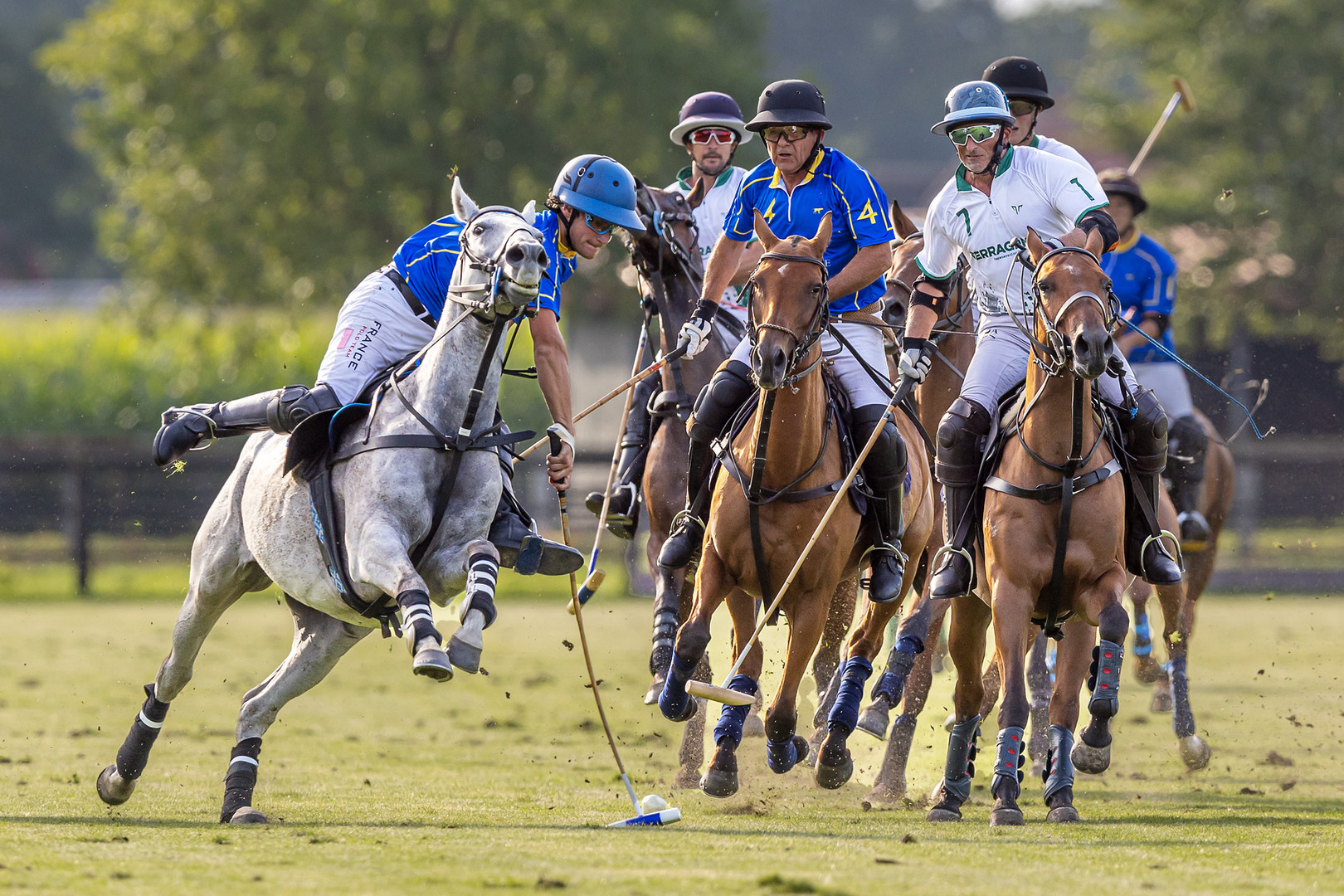 Polo in Mühlen