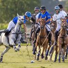 Polo in Mühlen