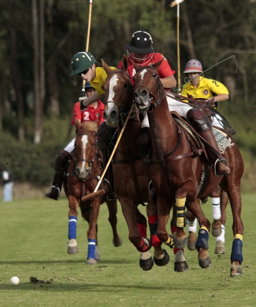 Polo - International Children Tournament