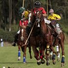 Polo - International Children Tournament