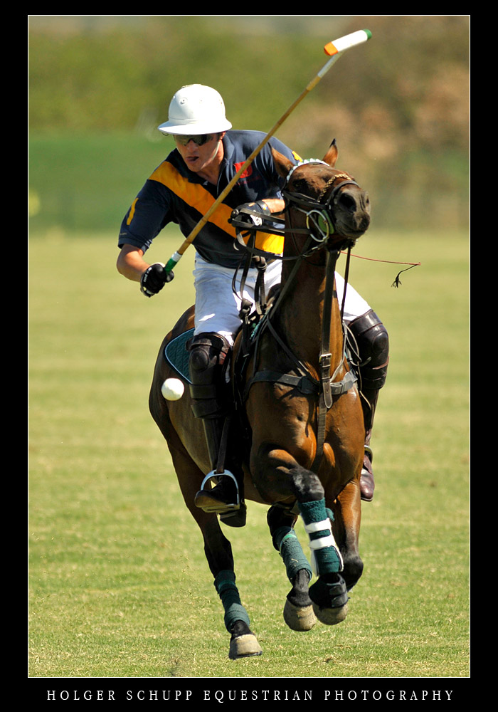 POLO - JEREZ CUP 2008