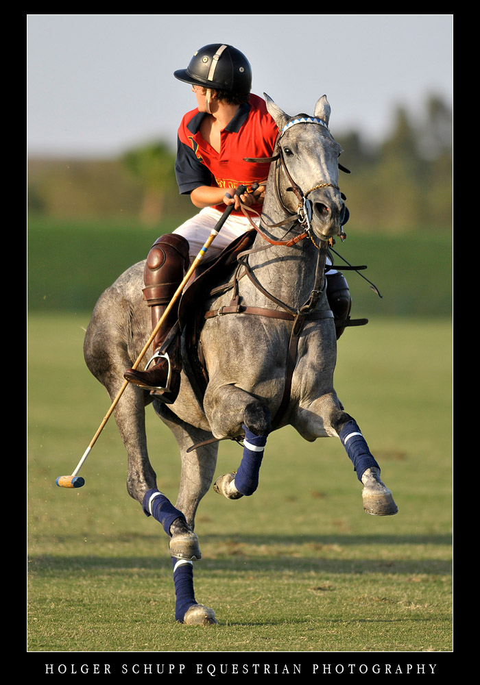 Polo - JEREZ CUP 2008