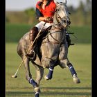 Polo - JEREZ CUP 2008