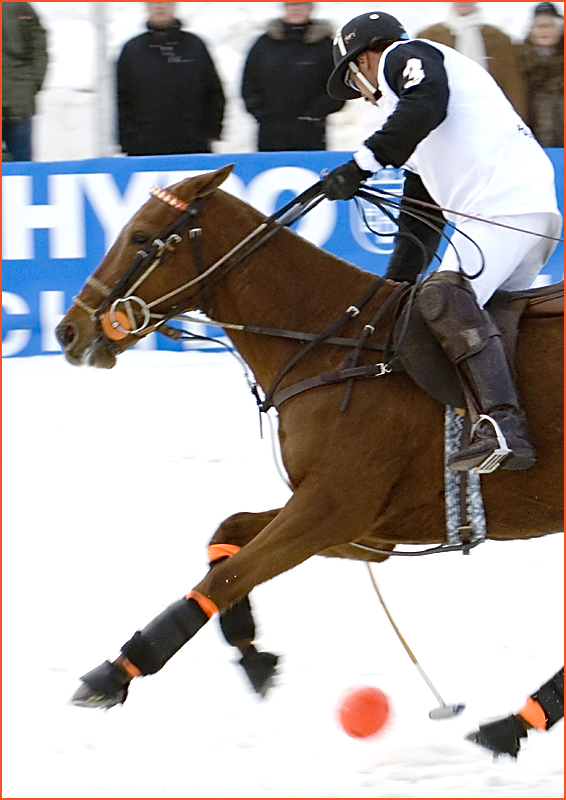 Polo Kitzbühel