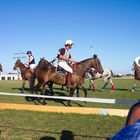 Polo Masters Sylt