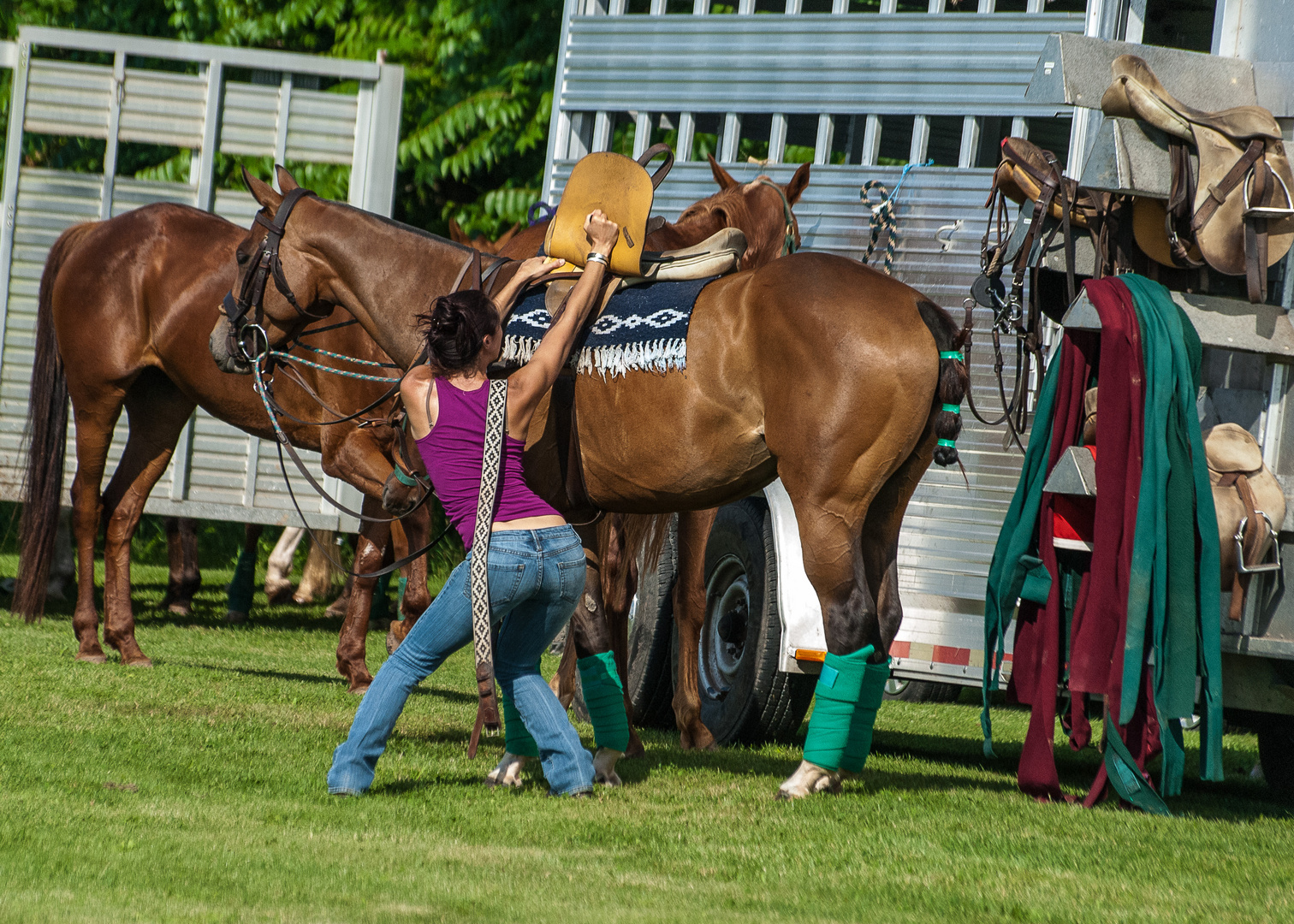 Polo Match 