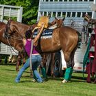 Polo Match 