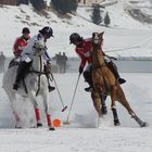 Polo on Ice V, St. Moritz 2011