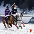 Polo on Snow 2022