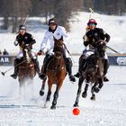 Polo on Snow