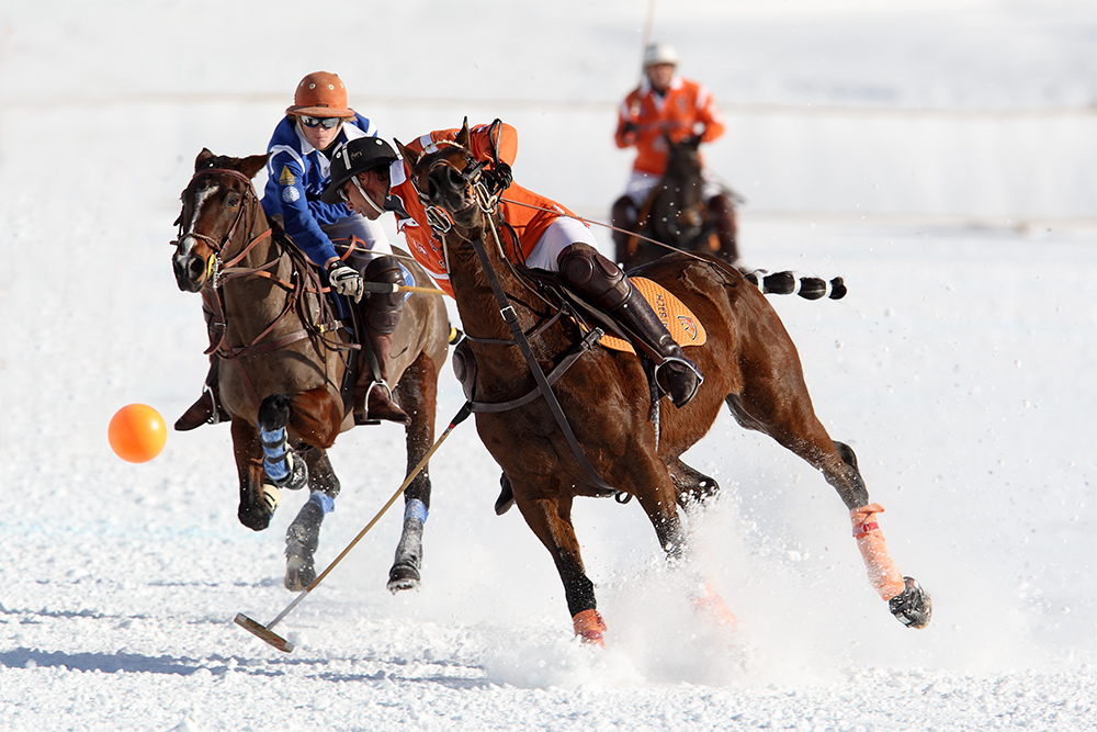 Polo on Snow