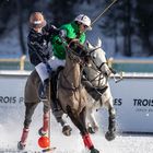 Polo on Snow Action