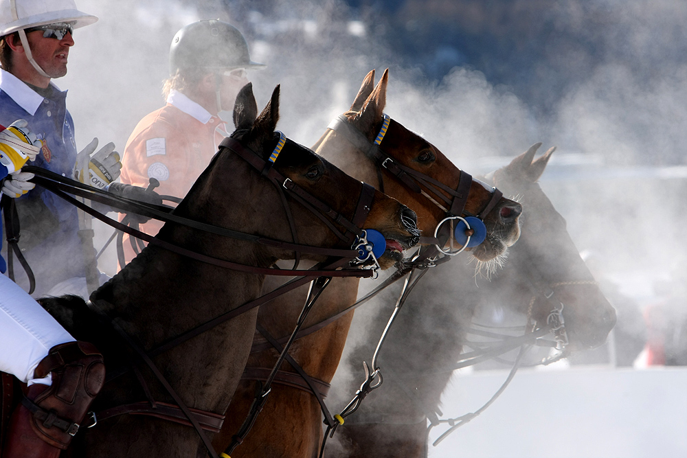 Polo on Snow