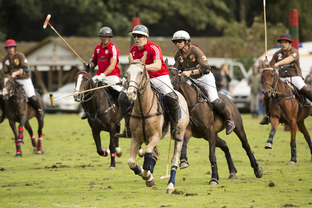 Polo Silver Cup 2013