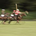 Polo Silver Cup Hamburg 2013