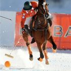 POLO St. Moritz World Cup on Snow 2009 (02)