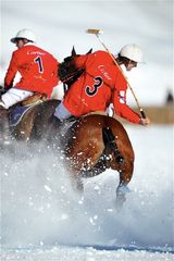 POLO St. Moritz World Cup on Snow 2009 (04)