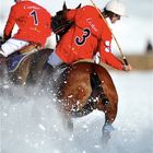 POLO St. Moritz World Cup on Snow 2009 (04)