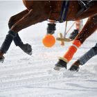 POLO St. Moritz World Cup on Snow 2009 (05)