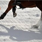 PoLO St. Moritz World Cup on Snow 2009 (06)